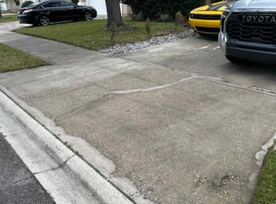 Emil A.'s Bush Trimming service result