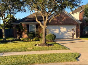 Daisy S.'s Bush Trimming service result