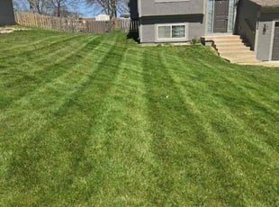 Blaise W.'s lawn care service result