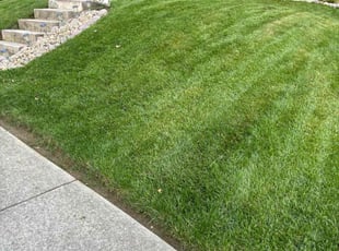 April N.'s lawn care services service result