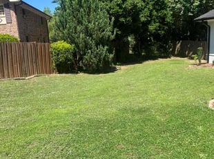 Hassan T.'s lawn care service result