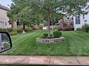 Diana M.'s landscaping service result