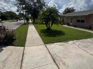 Thomas E.'s grass cutting service result