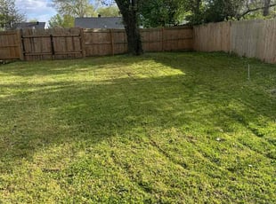 Lashonda R.'s grass cutting service result