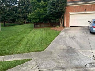 Mark D.'s turf care service result