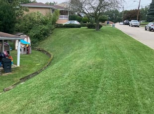 Zee K.'s lawn service service result