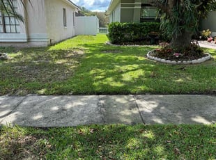 Grace L.'s lawn care services service result