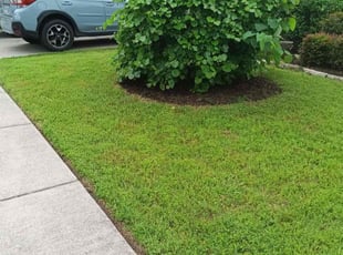 Jason B.'s lawn care services service result