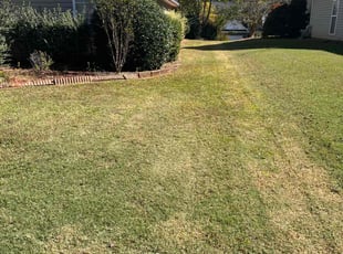 Heather S.'s lawn care service result