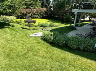 Marc W.'s grass cutting service result