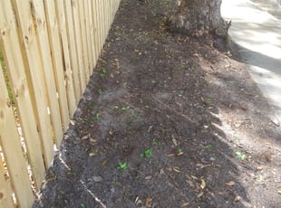 Veronica C.'s Leaf Removal service result