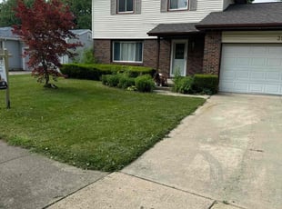 Tim L.'s lawn service service result
