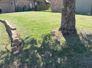 Emily M.'s grass cutting service result