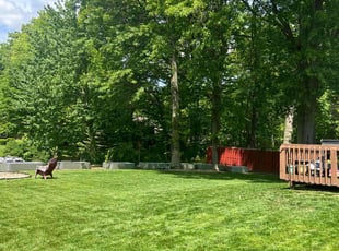 Kevin H.'s grass maintenance service result