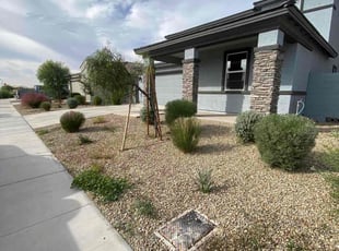 Tracy N.'s Bush Trimming service result