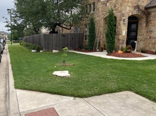 Dale L.'s grass cutting service result