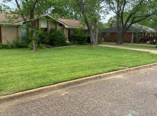 Jan L.'s lawn maintenance service result
