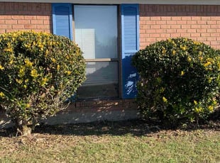 Sydney S.'s Bush Trimming service result