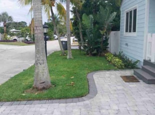 Lael H.'s yard care service result