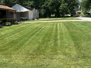 Vonetta W.'s lawn service service result