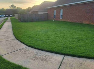 Niketta W.'s lawn service service result