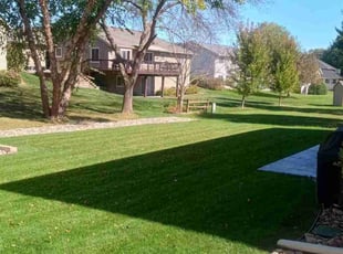 Jessica R.'s lawn care services service result