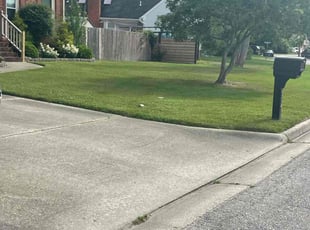 Melissa S.'s grass maintenance service result
