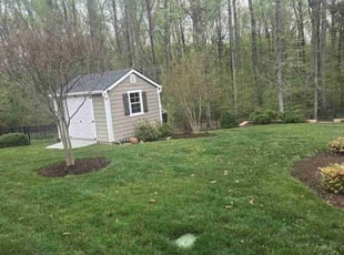 Elizabeth B.'s lawn maintenance service result