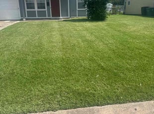 Kathryn M.'s lawn care service result