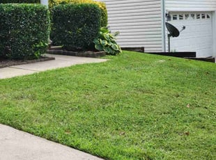 Richard R.'s Bush Trimming service result