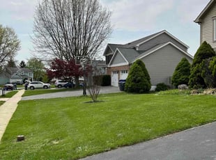 Anna D.'s lawn maintenance service result