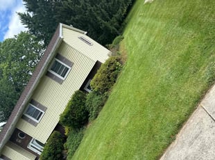 Cindy M.'s lawn service service result