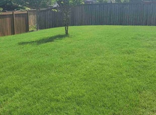 Tim B.'s turf care service result
