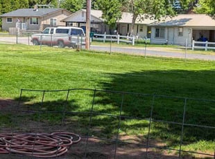 Brandon K.'s lawn maintenance service result