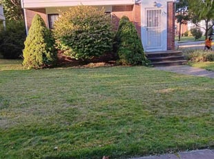 susan s.'s turf care service result