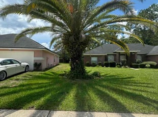 Brendon R.'s Tree Care service result