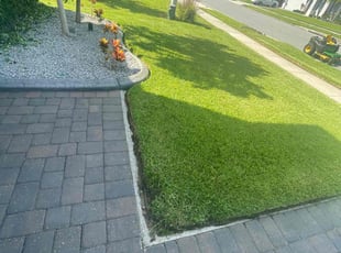 Anna N.'s lawn care services service result