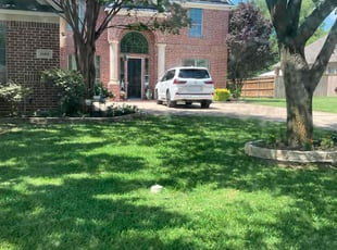 Rocko H.'s grass maintenance service result