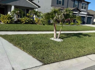 Lamart C.'s lawn care service result
