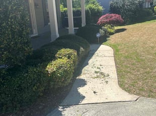 Andrew G.'s Bush Trimming service result