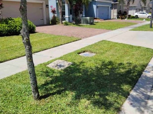 Alvin C.'s turf maintenance service result