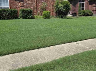Justin R.'s grass maintenance service result