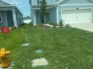 Twila N.'s lawn service service result