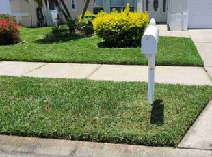 Leonard D.'s turf care service result