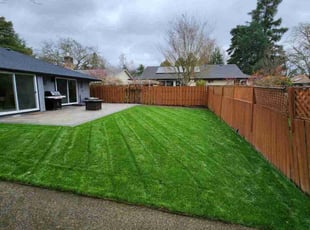 Kathy B.'s lawn service service result