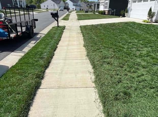 Anna B.'s lawn care service result