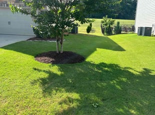 Darché W.'s turf care service result