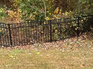 Lynn P.'s Bush Trimming service result