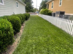 Annya A.'s lawn care services service result