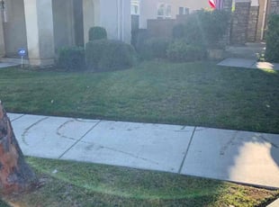 Marilyn L.'s lawn care service result